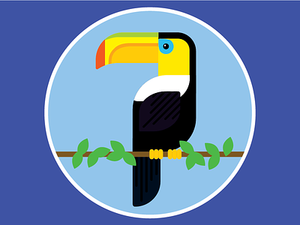 Brazil Sticker Mule Playoff bird brazil exotic exotic bird rainforest sticker sticker mule toucan tropical bird
