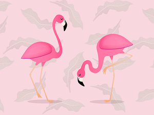 Flamingos bird flamingo grain pink summer tropic tropical bird