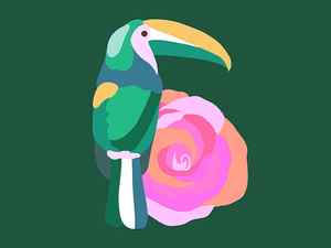 Toucan illustration bird design digital art floral flower and bird graphic design illustration procreate toucan toucan illustration tropical tropical bird