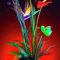 Bird Of Paradise And Anthuriums In Vase by Garry Gay