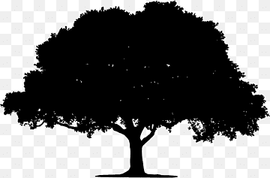 Tree Silhouette, black and white tree, leaf, branch, monochrome png thumbnail
