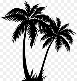 Arecaceae Silhouette Sunset, Palm Trees Silhouette, leaf, monochrome, palm Tree png thumbnail