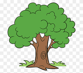 Drawing Cartoon Tree, tree-lined, leaf, plant Stem, grass png thumbnail
