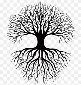 silhouette of tree illustration, Coloring book Drawing Root Tree, tree silhouette, leaf, branch, symmetry png thumbnail