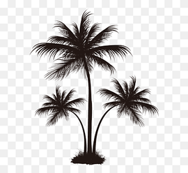 silhouette of black palm trees, Arecaceae Coconut Tree, Black palm tree pattern, tshirt, tree Branch, monochrome png thumbnail