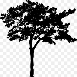 Branch Black and white Silhouette Tree, Silhouette, animals, leaf, branch png thumbnail