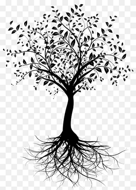 Black And White Flower, Tattoo, Tree, Root, Drawing, Silhouette, Black And White , Branch, Tattoo, Tree, Root png thumbnail