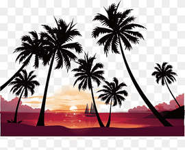 silhouette of coconut tree on beach, Sunset High-definition video resolution, Seaside sunset coconut tree, beach, tree Branch, computer png thumbnail