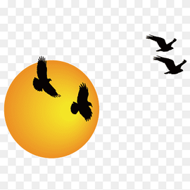 four birds and sun illustration, Sunrise Sunset, Cartoon sunrise, cartoon Character, orange, computer Wallpaper png thumbnail