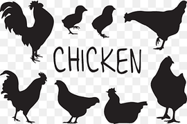 chicken, rooster, cock, hen, silhouette, png thumbnail