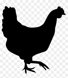 Rooster Chicken Silhouette Hen Drawing, chicken, animals, galliformes, fauna png thumbnail