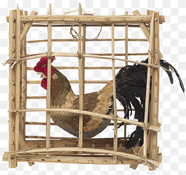 Rooster Cage Chicken Hen Kifaranga, chicken, animals, pet, galliformes png thumbnail