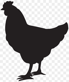 Chicken Silhouette Rooster, Hen Silhouette, shadow of rooster illustration, galliformes, monochrome, fauna png thumbnail