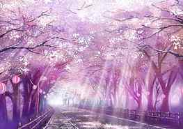 Cherry Blossom Drawing at GetDrawings, anime cherry blossom HD wallpaper
