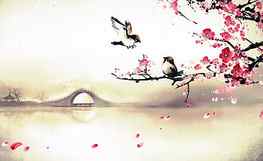 Cherry Blossom Drawing iPhone - Novocom.top, Sakura HD wallpaper