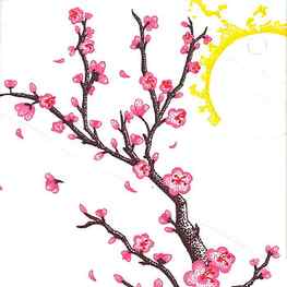 Cartoon Cherry Blossom, Cartoon Cherry Blossom png , ClipArts on Clipart Library, Cherry Blossom Drawing HD phone wallpaper