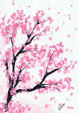 Cherry Blossom Art , Cherry Blossom Drawing HD phone wallpaper