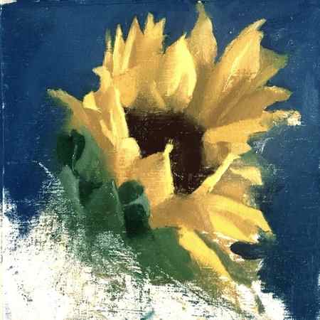 Partially painted yellow sunflower