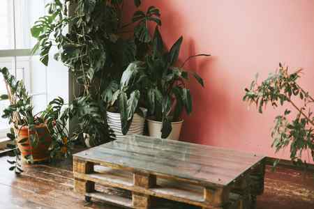mock-up-background-of-pink-wall-and-green-garden