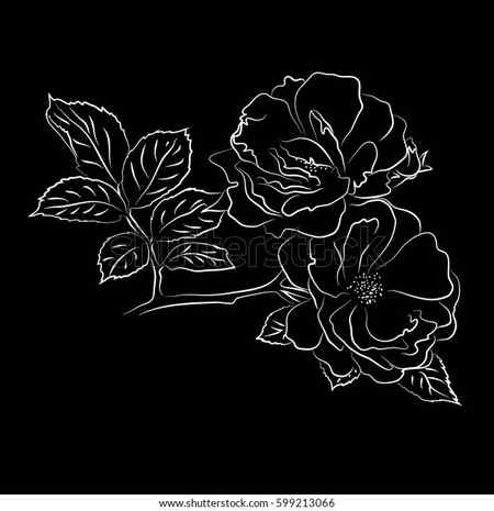 Drawing Universe Black Background Stock Vector Royalty Free 522784240 Shutterstock