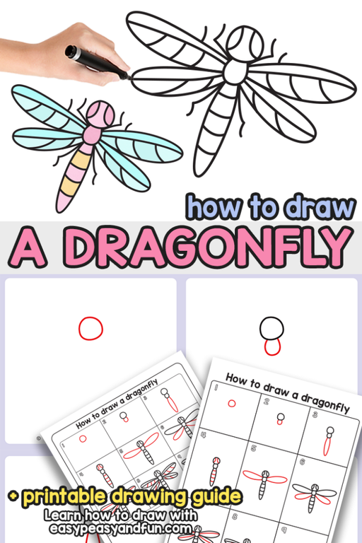 How to Draw an Easy Dragonfly