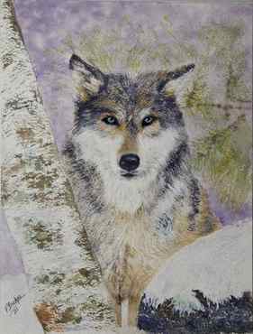 Blue Eyed Wolf in the Snow Watercolor 9x12 thumb