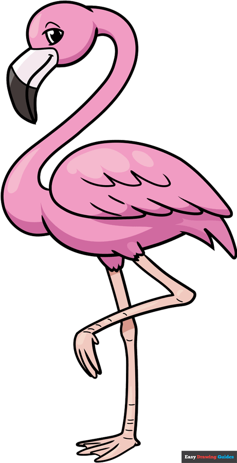 How to Draw a Cartoon Flamingo Featured Image