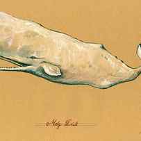 Moby dick the White sperm whale by Juan Bosco