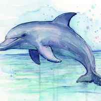 Dolphin Watercolor by Olga Shvartsur