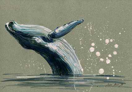 Wall Art - Painting - Humpback whale swimming by Juan Bosco