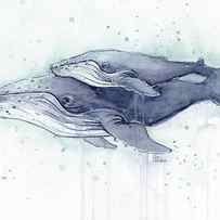 Humpback Whales Painting Watercolor - Grayish Version by Olga Shvartsur