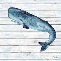 Bristol Whale II by Paul Brent