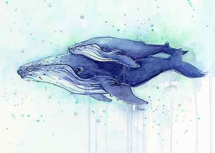 Wall Art - Painting - Humpback Whale Mom and Baby Watercolor by Olga Shvartsur