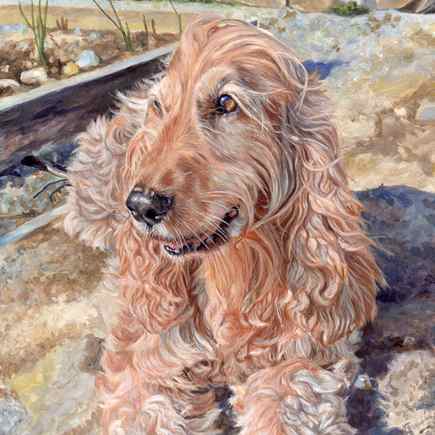 Acrylic Cat, Dog, Horses and other Pets Portraits Gallery