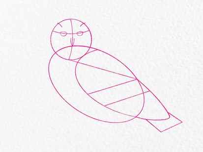 How to draw an owl - step 4