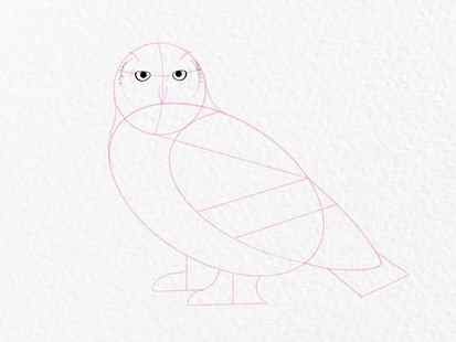 How to draw an owl - step 7