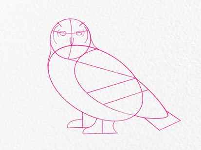 How to draw an owl - step 6
