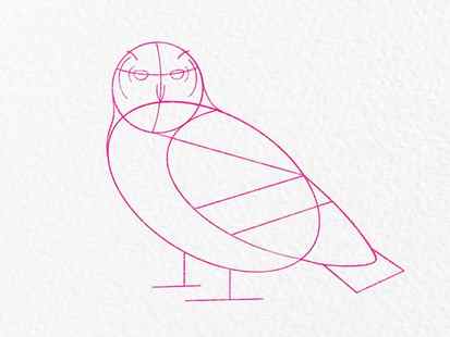 How to draw an owl - step 5