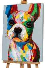 funny colorful dog 