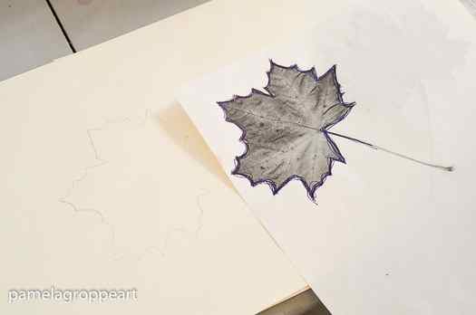 Outline of maple leaf to paint
