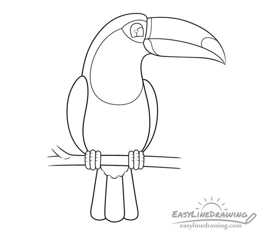 How to Draw a Toucan Head