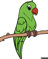 How to Draw a Parrot Featured Image