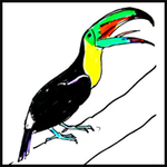 How to Draw a Toucan Tutorial