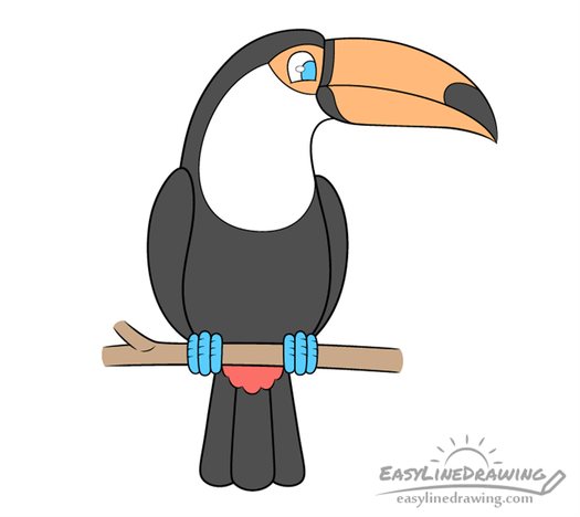 How to Draw a Cartoon Toucan