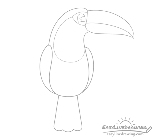 How to Draw a Simple Toucan for Kids
