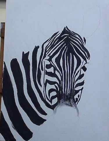 paint the black stripes of the zebra