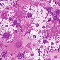 Pink Flowers by JQ Licensing