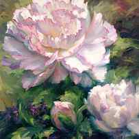 White Peony I by Laurie Snow Hein