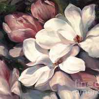 Magnolia Symphony by Laurie Snow Hein