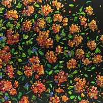 Floral Interpretation - Lantana by James W Johnson
